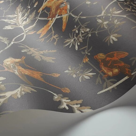 NEW Cole and Son Hummingbirds Wallpaper Charcoal/Ginger -112/4017 | - Picture 2 of 9
